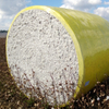 cotton film