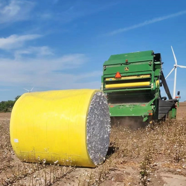 cotton picker film
