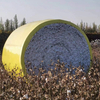 cotton picker film