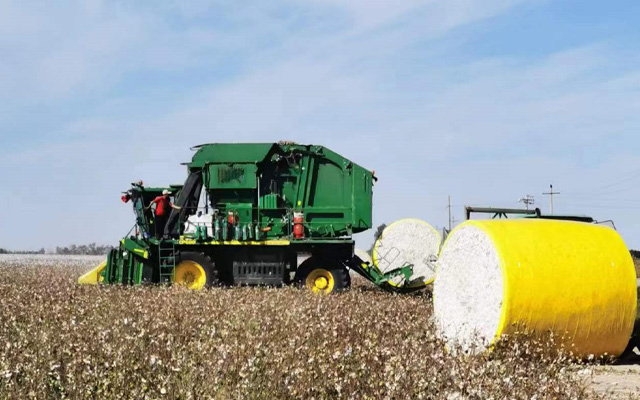 Cotton Film On Field