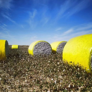 A Complete Guide To Cotton Wrap Film for Cotton Packaging And Transportation