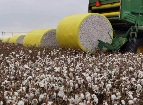 high quality cotton bale wrap film with competitive price